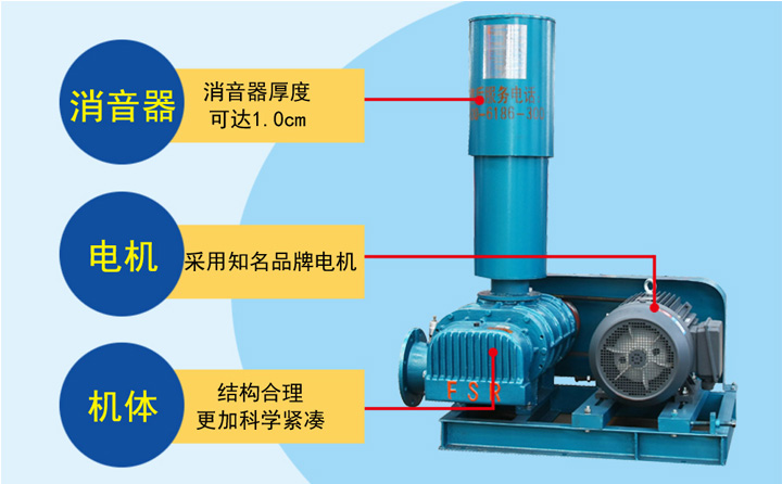 豐源羅茨風(fēng)機(jī)優(yōu)勢(shì) 豐源羅茨風(fēng)機(jī)優(yōu)勢(shì)