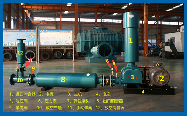 羅茨鼓風(fēng)機 羅茨鼓風(fēng)機