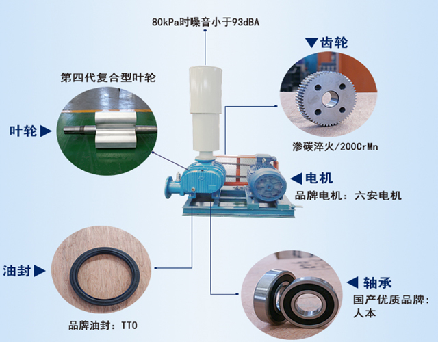 羅茨鼓風(fēng)機(jī) 羅茨鼓風(fēng)機(jī)