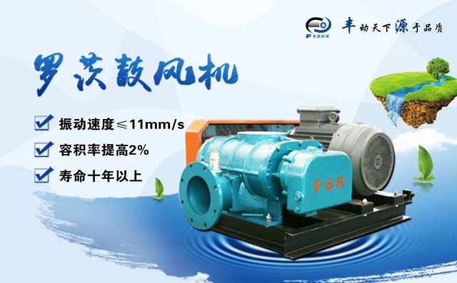 豐源機(jī)械羅茨鼓風(fēng)機(jī)產(chǎn)品 豐源機(jī)械羅茨鼓風(fēng)機(jī)產(chǎn)品