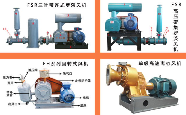 羅茨鼓風(fēng)機(jī) 羅茨鼓風(fēng)機(jī)